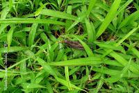 La Ruta hacia la Reserva El Copal