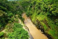 La Ruta hacia la Reserva El Copal