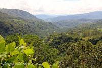 La Ruta hacia la Reserva El Copal