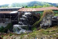 La Ruta hacia la Reserva El Copal