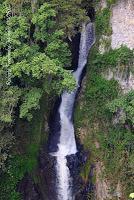 La Ruta hacia la Reserva El Copal