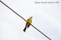 La Ruta hacia la Reserva El Copal