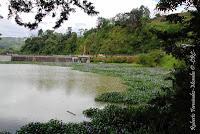 La Ruta hacia la Reserva El Copal