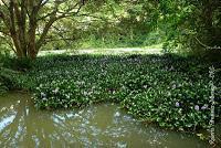 La Ruta hacia la Reserva El Copal