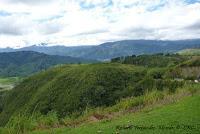 La Ruta hacia la Reserva El Copal