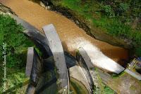 La Ruta hacia la Reserva El Copal