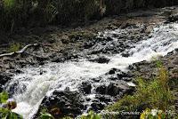 La Ruta hacia la Reserva El Copal