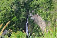 La Ruta hacia la Reserva El Copal