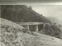 La Ruta hacia la Reserva El Copal