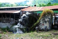 La Ruta hacia la Reserva El Copal