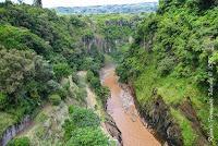 La Ruta hacia la Reserva El Copal