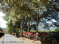 La Ruta hacia la Reserva El Copal