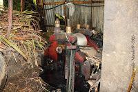 La Ruta hacia la Reserva El Copal