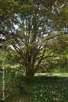 La Ruta hacia la Reserva El Copal