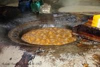 La Ruta hacia la Reserva El Copal