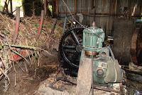 La Ruta hacia la Reserva El Copal