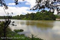 La Ruta hacia la Reserva El Copal