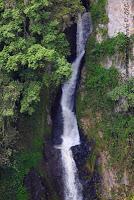 La Ruta hacia la Reserva El Copal