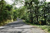 La Ruta hacia la Reserva El Copal