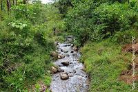 La Ruta hacia la Reserva El Copal