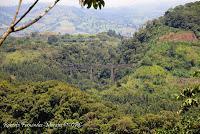 La Ruta hacia la Reserva El Copal