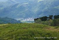 La Ruta hacia la Reserva El Copal