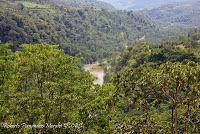 La Ruta hacia la Reserva El Copal