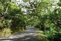 La Ruta hacia la Reserva El Copal