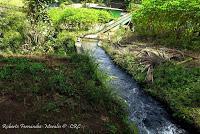 La Ruta hacia la Reserva El Copal