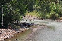 La Ruta hacia la Reserva El Copal