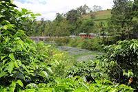 La Ruta hacia la Reserva El Copal