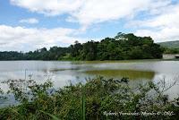 La Ruta hacia la Reserva El Copal