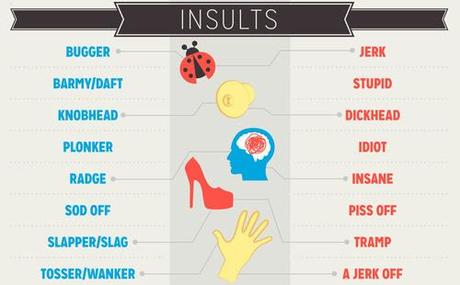 Insults and swear words