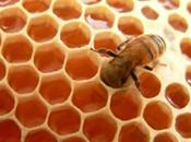 Wikikonomía: Nueva Economía Colaborativa