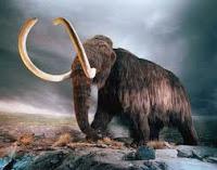 Wrangel, el dominio del último mamut