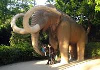 Wrangel, el dominio del último mamut