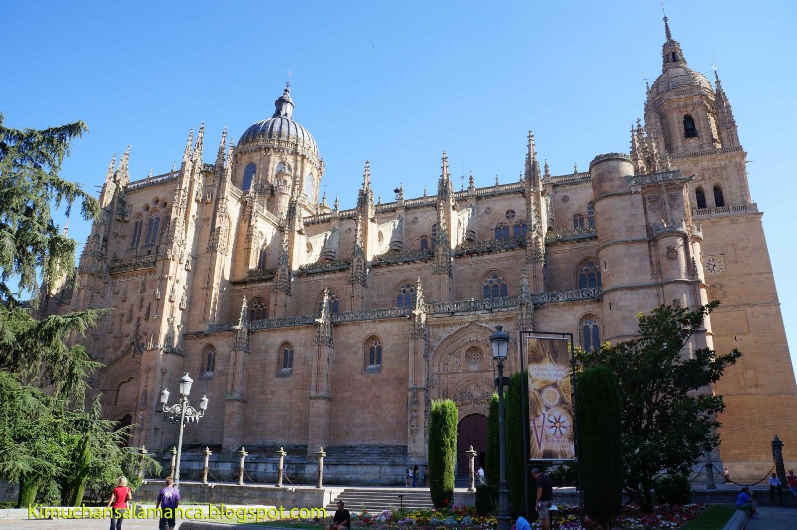 Entrada Catedral Nueva en Salamanca/サラマンカのカテドラル有料化