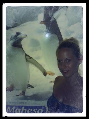 DISFRUTANDO CON MAHESO