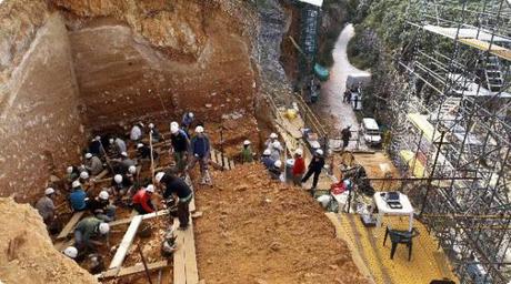 conjunto fósiles sima de los huesos atapuerca