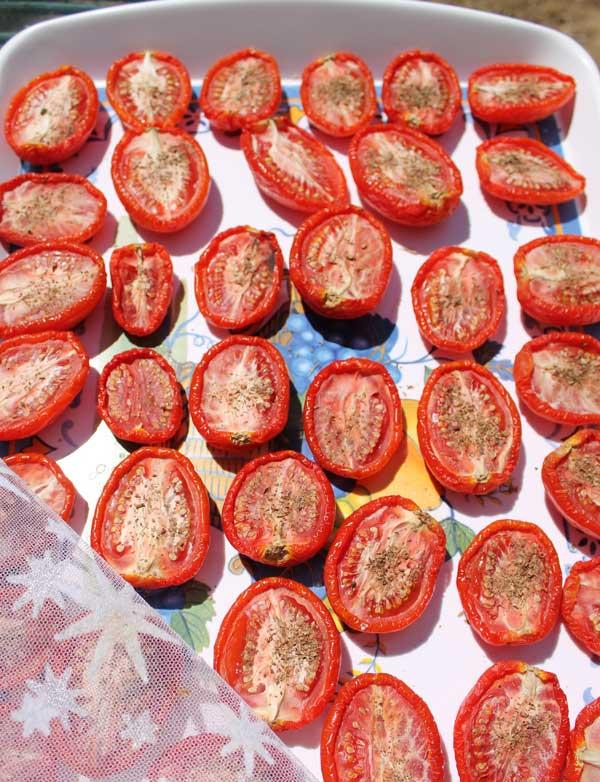 secar-tomates-al-sol-5