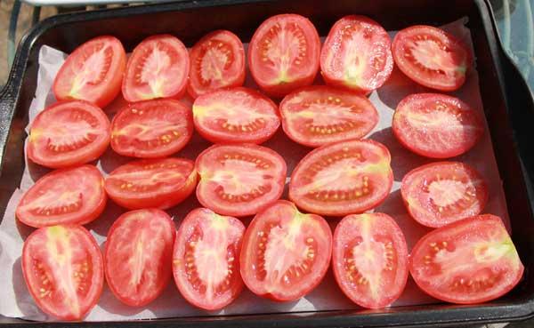 secar tomates al sol 1