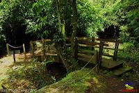 Parque Municipal Ambiental Río Loro -Ochomogo, Cartago-