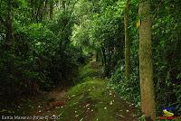 Parque Municipal Ambiental Río Loro -Ochomogo, Cartago-