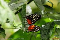 Parque Municipal Ambiental Río Loro -Ochomogo, Cartago-