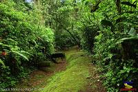 Parque Municipal Ambiental Río Loro -Ochomogo, Cartago-