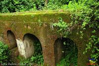 Parque Municipal Ambiental Río Loro -Ochomogo, Cartago-