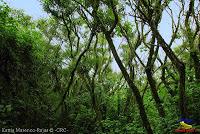 Parque Municipal Ambiental Río Loro -Ochomogo, Cartago-