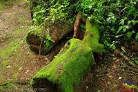 Parque Municipal Ambiental Río Loro -Ochomogo, Cartago-