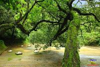 Parque Municipal Ambiental Río Loro -Ochomogo, Cartago-