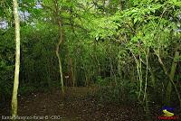 Parque Municipal Ambiental Río Loro -Ochomogo, Cartago-